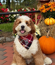 Load image into Gallery viewer, cinnamon spice flannel letterman dog bandana