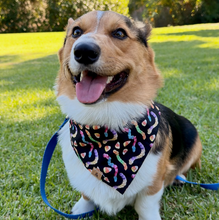 Load image into Gallery viewer, creepy crawlies dog bandana