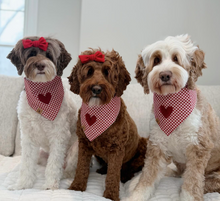 Load image into Gallery viewer, red gingham dog bandana