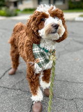 Load image into Gallery viewer, oliver plaid dog bandana