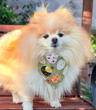 Load image into Gallery viewer, oh my giri dog bandana
