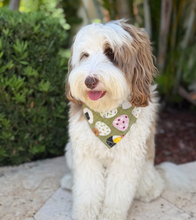 Load image into Gallery viewer, oh my giri dog bandana