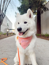 Load image into Gallery viewer, strawberry shortcake plaid with lover patch dog bandana