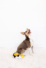Load image into Gallery viewer, Pearhead Dog Katsu Dog Toy