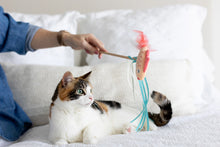 Load image into Gallery viewer, Pearhead Koi Fish Teaser Cat Wand