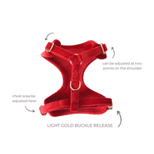 Load image into Gallery viewer, winterberry red velvet adjustable harness
