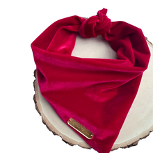 Load image into Gallery viewer, winterberry red velvet dog bandana