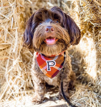 Load image into Gallery viewer, cinnamon spice flannel letterman dog bandana