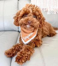 Load image into Gallery viewer, personalized maple butter with lace dog bandana