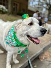 Load image into Gallery viewer, LAST CHANCE! green lucky charms dog bandana (XS only)