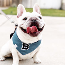 Load image into Gallery viewer, denim letterman dog bandana