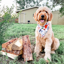 Load image into Gallery viewer, happy camper dog bandana