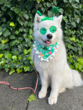 Load image into Gallery viewer, LAST CHANCE! green lucky charms dog bandana (XS only)