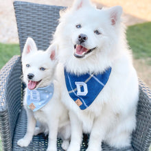 Load image into Gallery viewer, cobalt flannel letterman dog bandana