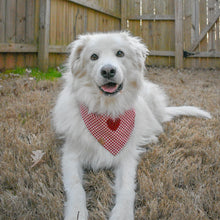 Load image into Gallery viewer, red gingham dog bandana