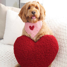 Load image into Gallery viewer, red gingham dog bandana
