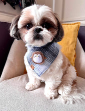 Load image into Gallery viewer, glacier flannel with plush