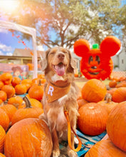 Load image into Gallery viewer, ginger herringbone letterman dog bandana