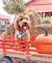 Load image into Gallery viewer, hollows eve flannel dog bandana