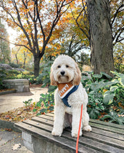 Load image into Gallery viewer, personalized maple butter with lace dog bandana