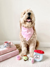 Load image into Gallery viewer, pink barkday dog bandana