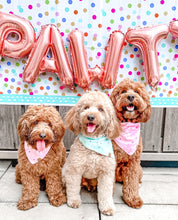 Load image into Gallery viewer, pink barkday dog bandana