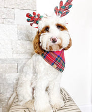 Load image into Gallery viewer, prancer's plaid dog bandana