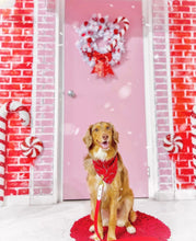 Load image into Gallery viewer, candy cane lane dog bandana