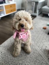 Load image into Gallery viewer, heart eyes for you dog bandana