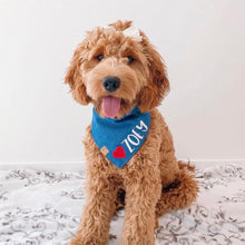 Load image into Gallery viewer, denim hearts personalized dog bandana