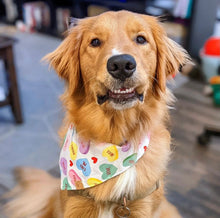 Load image into Gallery viewer, LAST CHANCE: candy hearts dog bandana (S,S/M, M, M/L only)