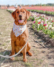 Load image into Gallery viewer, LAST CHANCE! easter poppy dog bandana (XS, S/M, L, XL only)