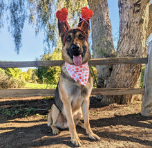 Load image into Gallery viewer, LAST CHANCE: only hearts dog bandana