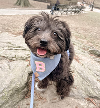 Load image into Gallery viewer, light denim pink varsity sherpa letterman dog bandana (M/L, L, XL)