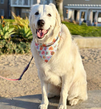 Load image into Gallery viewer, LAST CHANCE: woof you dog bandana (M, M/L, L)