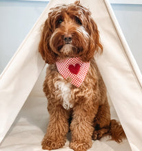 Load image into Gallery viewer, red gingham dog bandana
