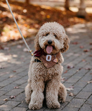 Load image into Gallery viewer, LAST CHANCE! snickerdoodle dog bandana