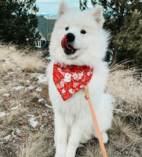 Load image into Gallery viewer, LNY cherry blossom dog bandana
