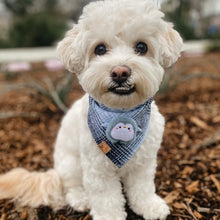 Load image into Gallery viewer, glacier flannel with plush