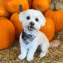 Load image into Gallery viewer, hollows eve flannel dog bandana