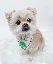 Load image into Gallery viewer, stay cozy dog bandana