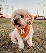 Load image into Gallery viewer, ginger herringbone letterman dog bandana