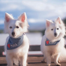 Load image into Gallery viewer, denim hearts personalized dog bandana