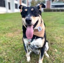Load image into Gallery viewer, dulce de leche flannel dog bandana