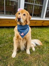 Load image into Gallery viewer, denim hearts personalized dog bandana