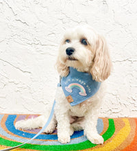 Load image into Gallery viewer, love always wins dog bandana
