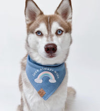 Load image into Gallery viewer, love always wins dog bandana
