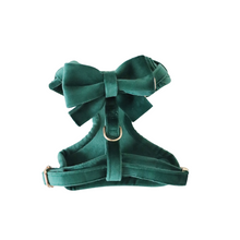 Load image into Gallery viewer, emerald green velvet walk set bundle (everything but harness) - $74 value!
