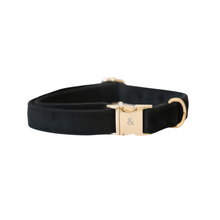 Load image into Gallery viewer, tuxedo black velvet walk set bundle (everything but harness) - $74 value!
