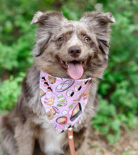 Load image into Gallery viewer, osaka delights dog bandana
